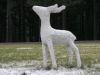 img_6236 img_6236
