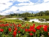 img_8685 img_8685