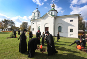 В честь знаменательного события возле церкви посажены деревья.