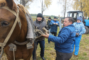  Хозяин поля - директор СП «Верхнедвинский»  А. Т. Тумашевич  показал, что умеет управляться с конём. 