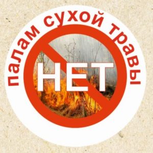 палы