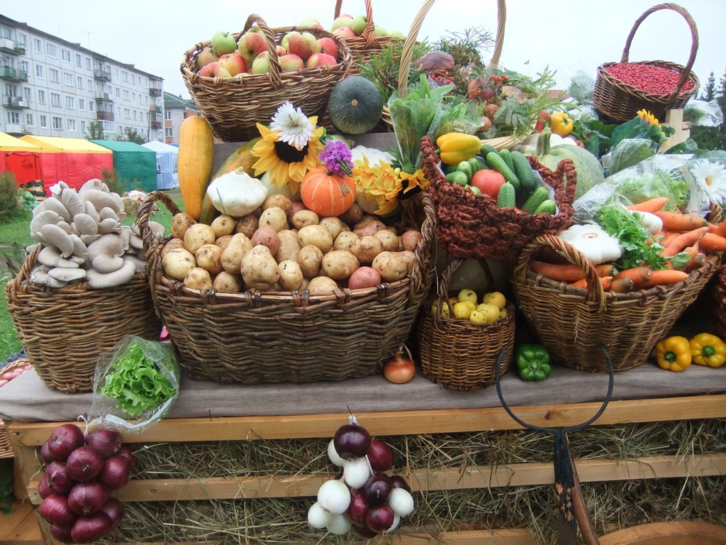 Сезонные ярмарки продолжают свою работу в Витебской области